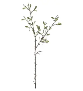 Mistel - Grön - 95 cm - www.frokenfraken.se