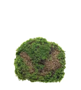 Mosskudde - Grön - 5 cm - www.frokenfraken.se