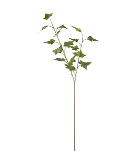 Murgröna - Grön - 70 cm - www.frokenfraken.se