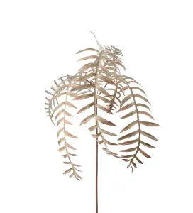 Ormbunksblad - Beige - 50 cm - www.frokenfraken.se