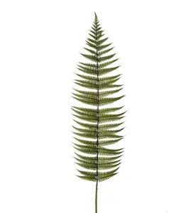 Ormbunksblad - Grön - 105 cm - www.frokenfraken.se