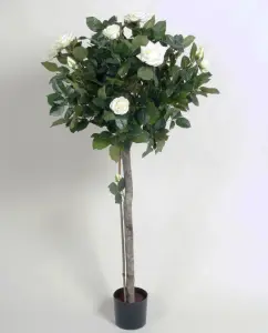 Rosenträd - Vit - 110 cm - www.frokenfraken.se