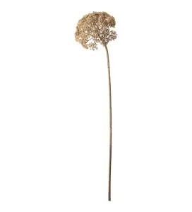 Röllika - Beige - 80 cm - www.frokenfraken.se
