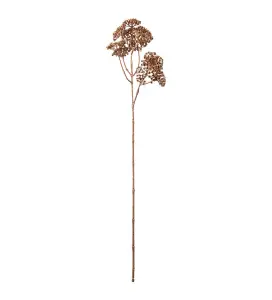 Röllika - Brun - 54 cm - www.frokenfraken.se