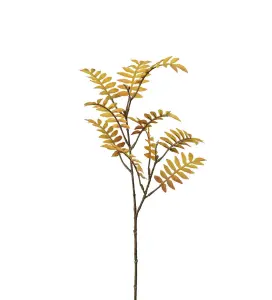 Rönn - Gul - 60 cm - www.frokenfraken.se