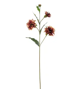 Rudbeckia - Flerfärgad - 80 cm - www.frokenfraken.se