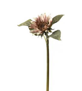 Solros - Rosa - 50 cm - www.frokenfraken.se