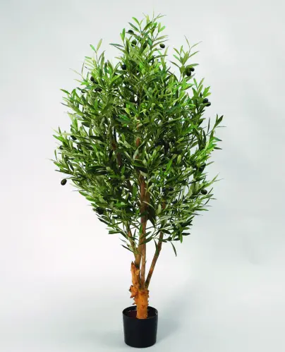 Olivträd - 140 cm - www.frokenfraken.se