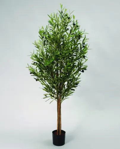Olivträd - 140 cm - www.frokenfraken.se