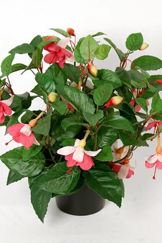 Fuchsia - Rosa - 30 cm - www.frokenfraken.se
