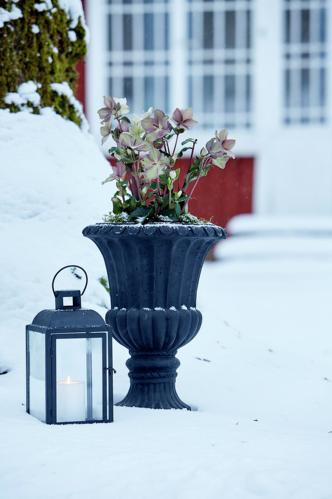 Ljuslykta - Matt Svart - 30 cm - www.frokenfraken.se