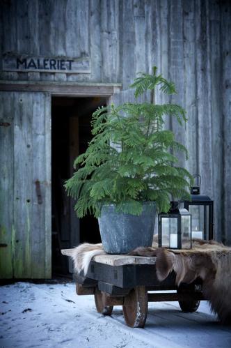 Ljuslykta - Matt Svart - 30 cm - www.frokenfraken.se