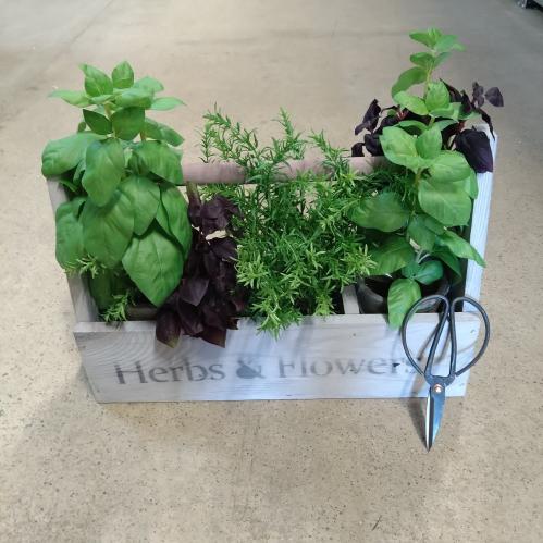 Trälåda - Med fack - Herbs - Antik Grå - 44 x 14 cm - www.frokenfraken.se