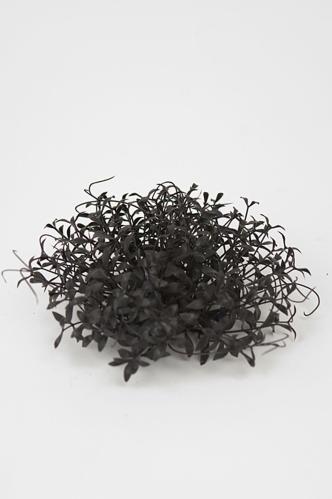 Tradescantia - 12 st - Svart - 9 cm - www.frokenfraken.se