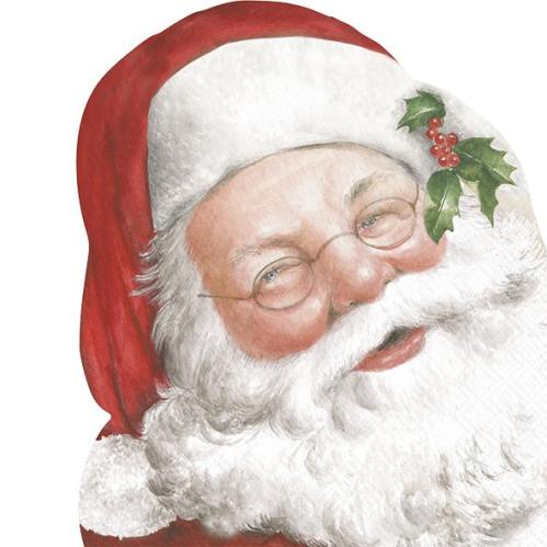 Servetter - Friendly Santa - 20 st/33 x 33 cm - www.frokenfraken.se