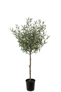 Olivträd - Grön - 150 cm - www.frokenfraken.se