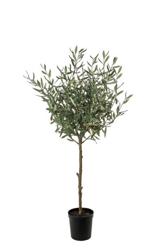 Olivträd - Grön - 150 cm - www.frokenfraken.se