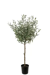 Olivträd - Grön - 150 cm - www.frokenfraken.se