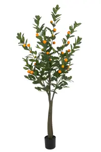 Citrus - Grön - 180 cm - www.frokenfraken.se