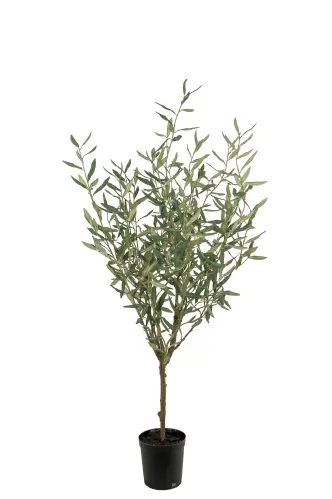 Olivträd - Grön - 130 cm - www.frokenfraken.se