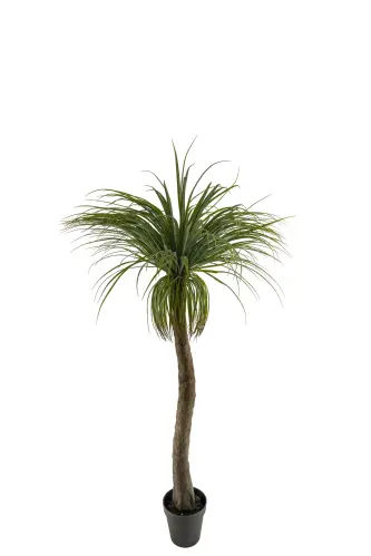 Flasklilja - Grön - 180 cm - www.frokenfraken.se