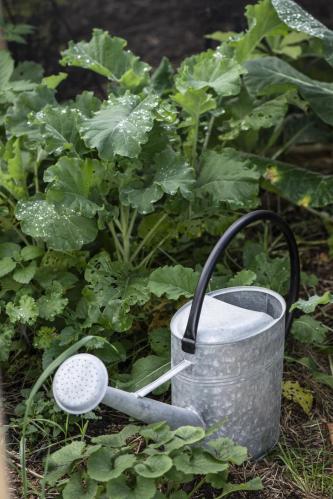 Vattenkanna - Zink - 9,5 L - www.frokenfraken.se