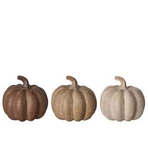 Pumpor - Brun/Beige mix - 6 st - Dekoration - 6 x 7 cm - www.frokenfraken.se