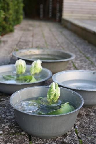 Flytande Glasring/Glasvas - Ø 8 cm - www.frokenfraken.se