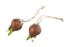 Vårlök - Hänge - 6 cm - www.frokenfraken.se