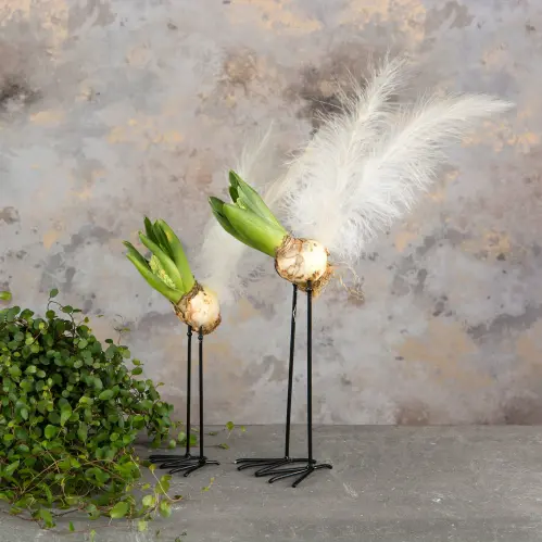 Metallfot för lökväxter - 2-pack - www.frokenfraken.se
