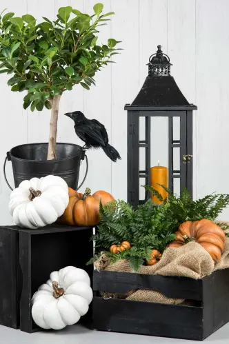 Pumpa - Grön - Avlång dekoration - 20 cm - www.frokenfraken.se