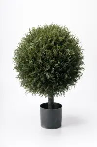 En - Brun - 70 cm - www.frokenfraken.se