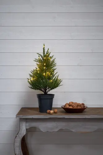 Julträd med belysning - Thuja - 55 cm - www.frokenfraken.se