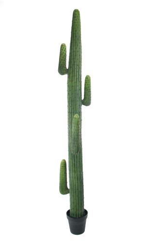 Kaktus - - 235 cm - www.frokenfraken.se