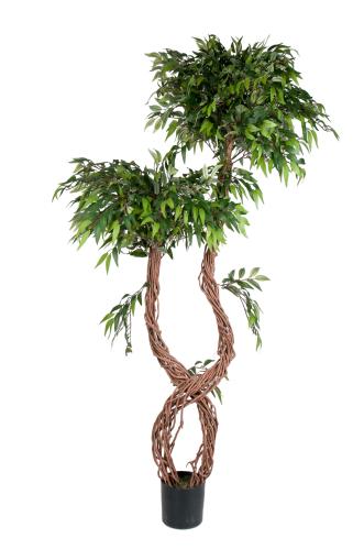 XXX_UTGÅTT_Fraxinus - - 210 cm - www.frokenfraken.se