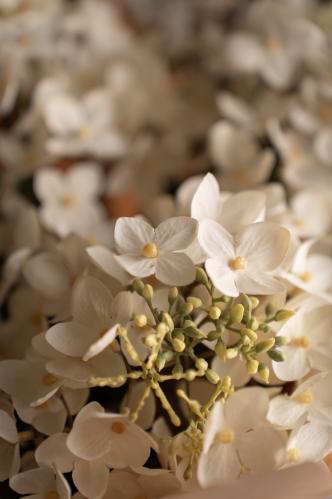 Bukett - Hortensia/Gren/Eucalyptus - www.frokenfraken.se