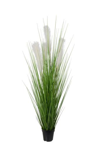 Gräs - - 150 cm - www.frokenfraken.se