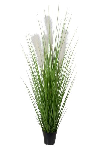Gräs - - 170 cm - www.frokenfraken.se