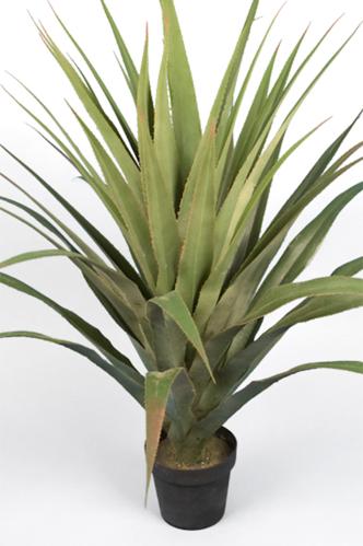 Agave - 110 cm - www.frokenfraken.se
