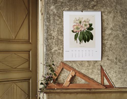 Poster - Vintage - Krysantemum - 50 x 70 cm - www.frokenfraken.se