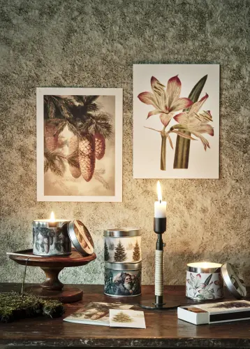 Poster - Vintage - Amaryllis - 18 x 24 cm - www.frokenfraken.se