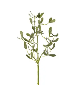 Mistelkvist - Grön - 70 cm - www.frokenfraken.se