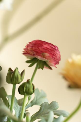 Bukett - Ranuncel/Eucalyptus/Blomkvist - www.frokenfraken.se