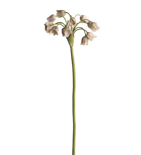 Allium - Grön - 65 cm - www.frokenfraken.se