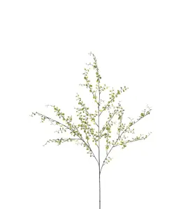 Muehlenbeckia - Grön - 100 cm - www.frokenfraken.se