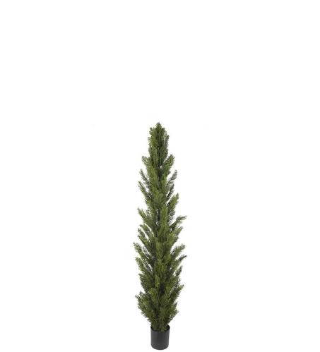 Cypress - Grön - 90 cm - www.frokenfraken.se