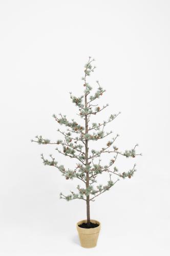 Lärkträd - 135 cm - www.frokenfraken.se