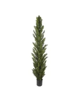 Cypress - Grön - 150 cm - www.frokenfraken.se