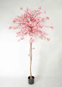 Körsbärsträd - 180 cm - Rosa - www.frokenfraken.se