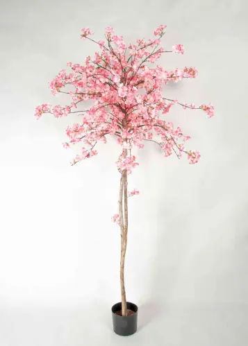 Körsbärsträd - 180 cm - Rosa - www.frokenfraken.se